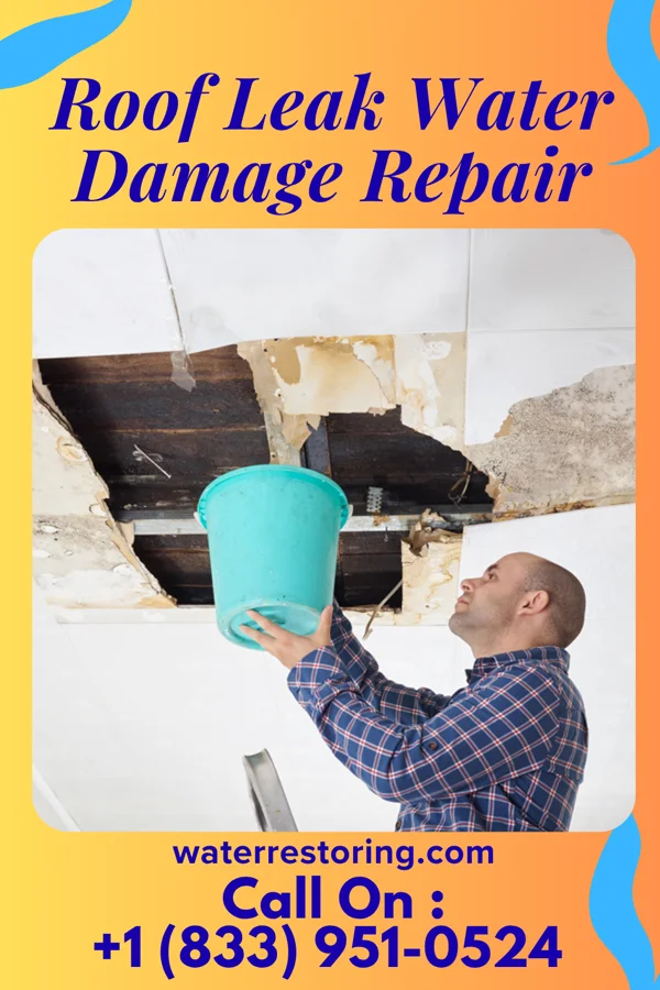 Roof Leak Water Damage Repair in St. Michael, PA